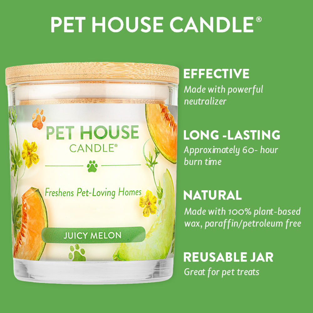 Juicy Melon Candle infographics