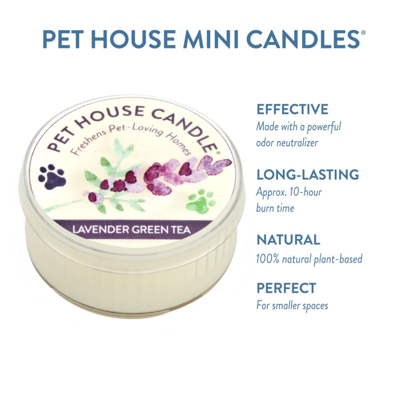 Lavender Green Tea Mini Candle infographics