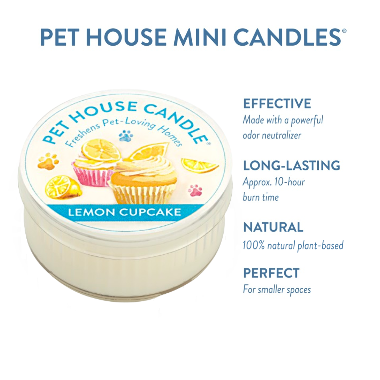 Lemon Cupcake Mini Candle infographics