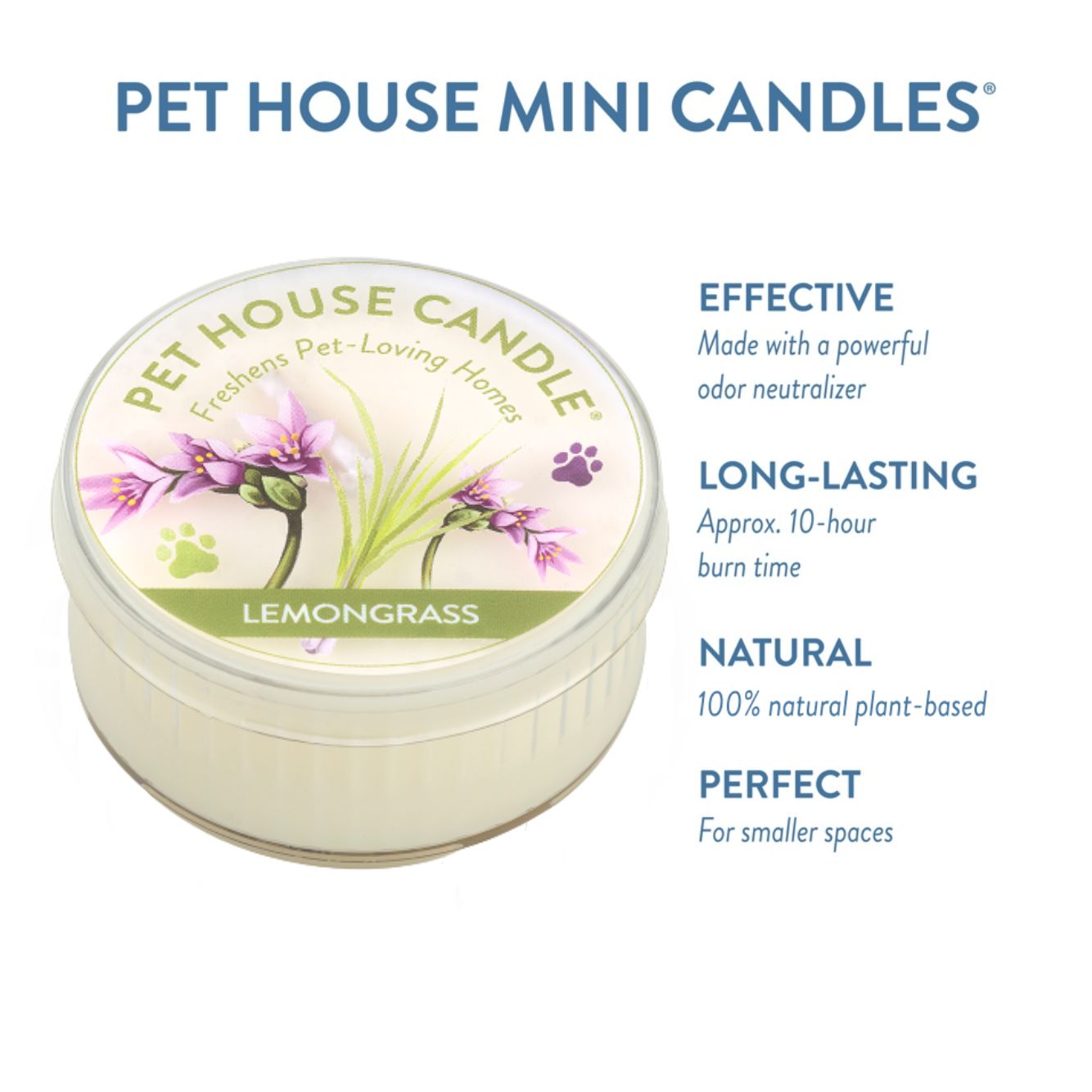 Lemongrass Mini Candle infographics