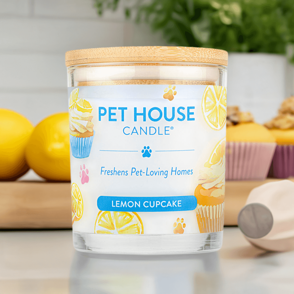 Pet House Lemon Cupcake Candle in a kitchen