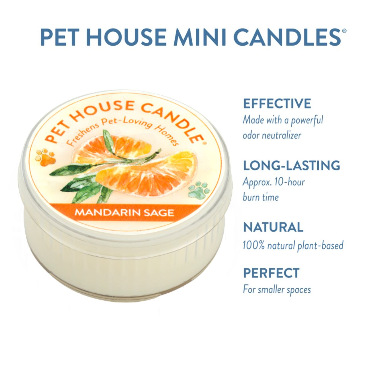 Mandarin Sage Mini Candle infographics