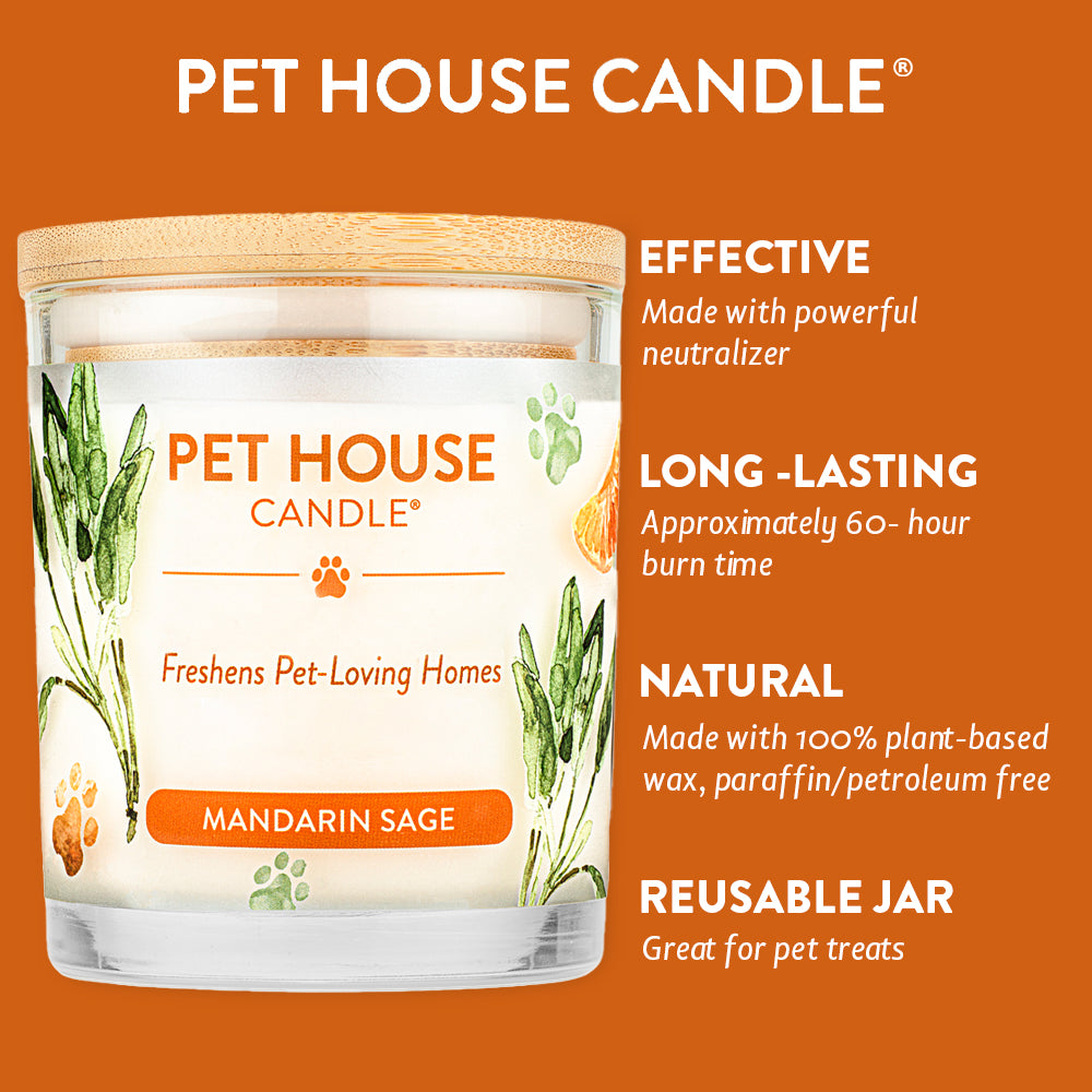 Mandarin Sage Candle infographics with colored background