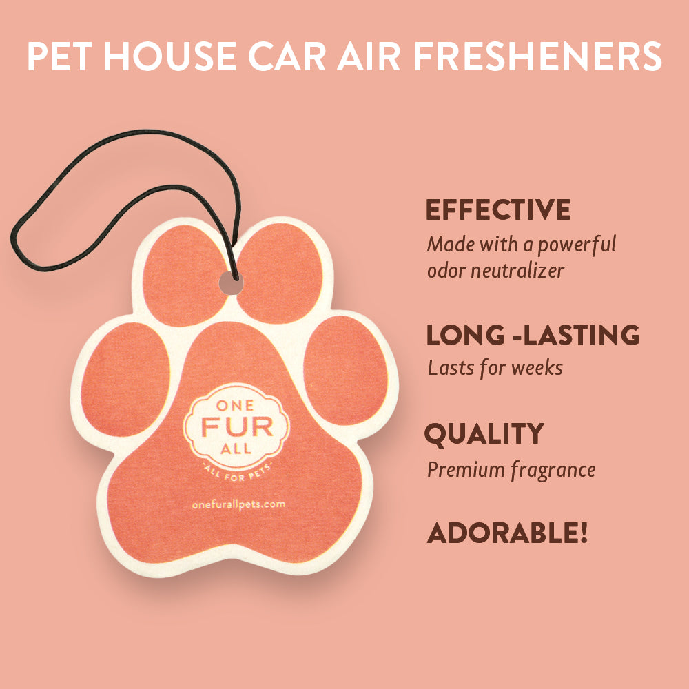 Mango Peach Car Air Freshener Infographics