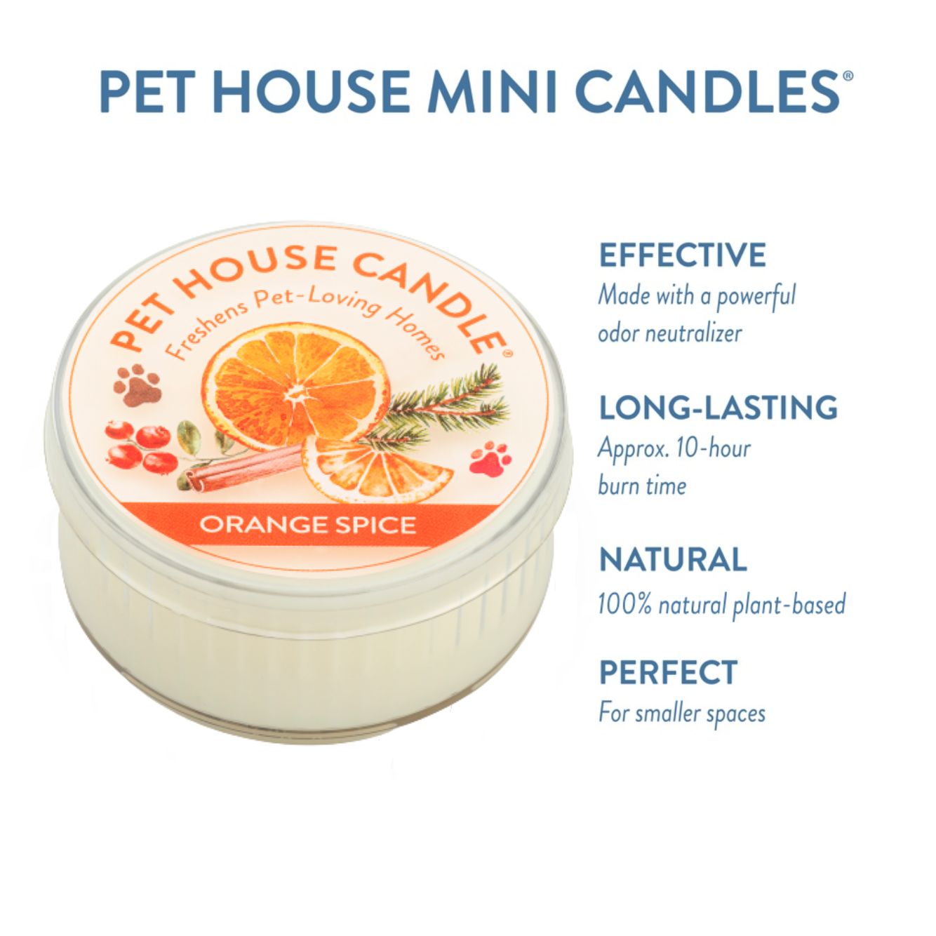 Orange Spice Mini Candle infographics