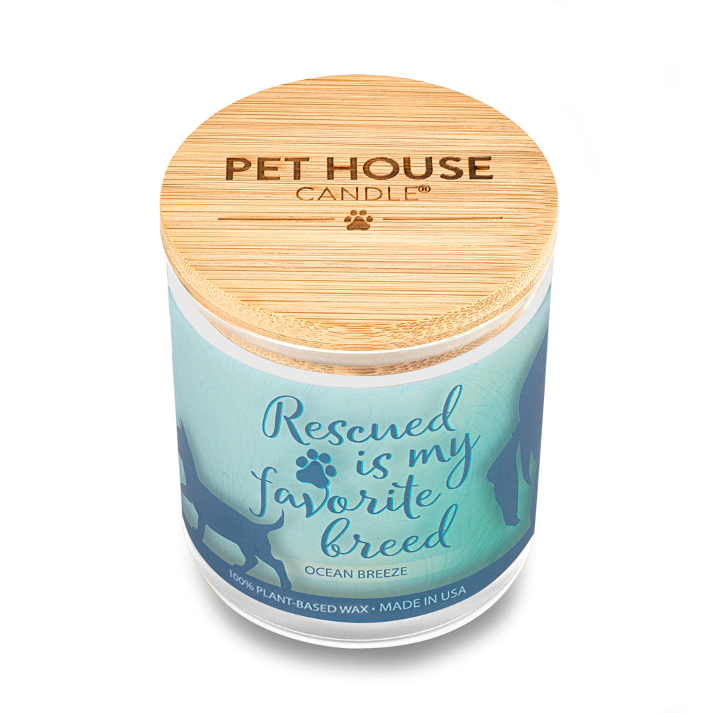 Ocean Breeze Pet House Sentiments Candle: 100% Natural Plant-based Wax