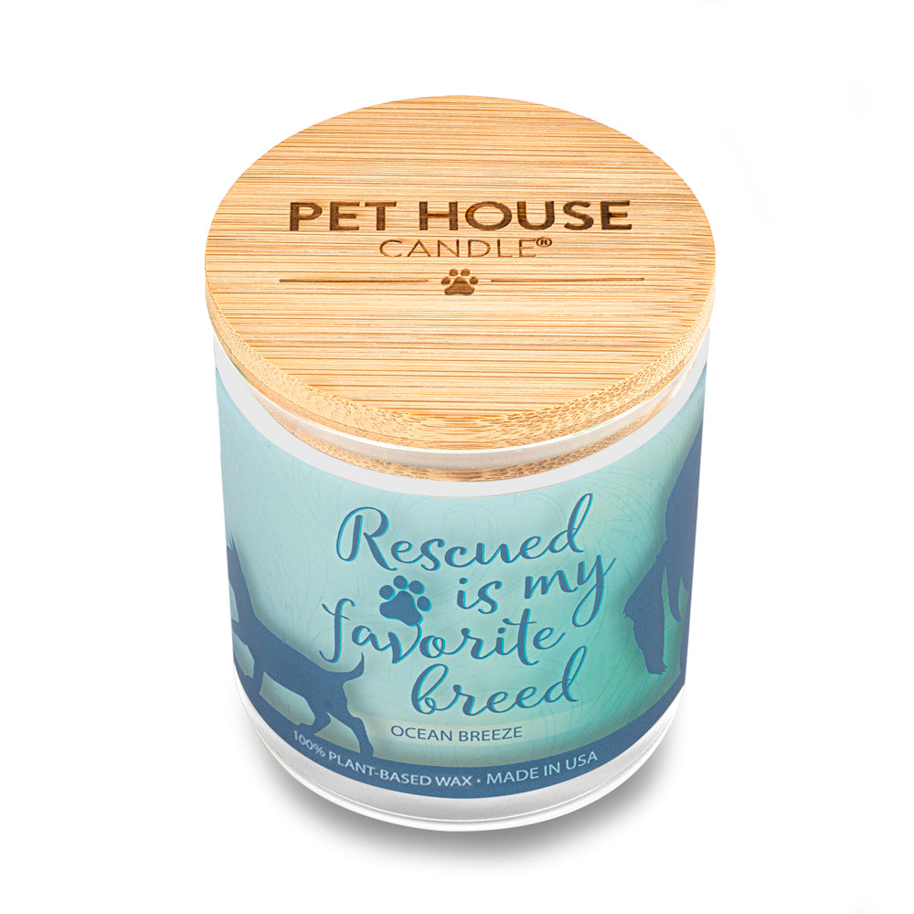 Ocean Breeze Candle High Angle