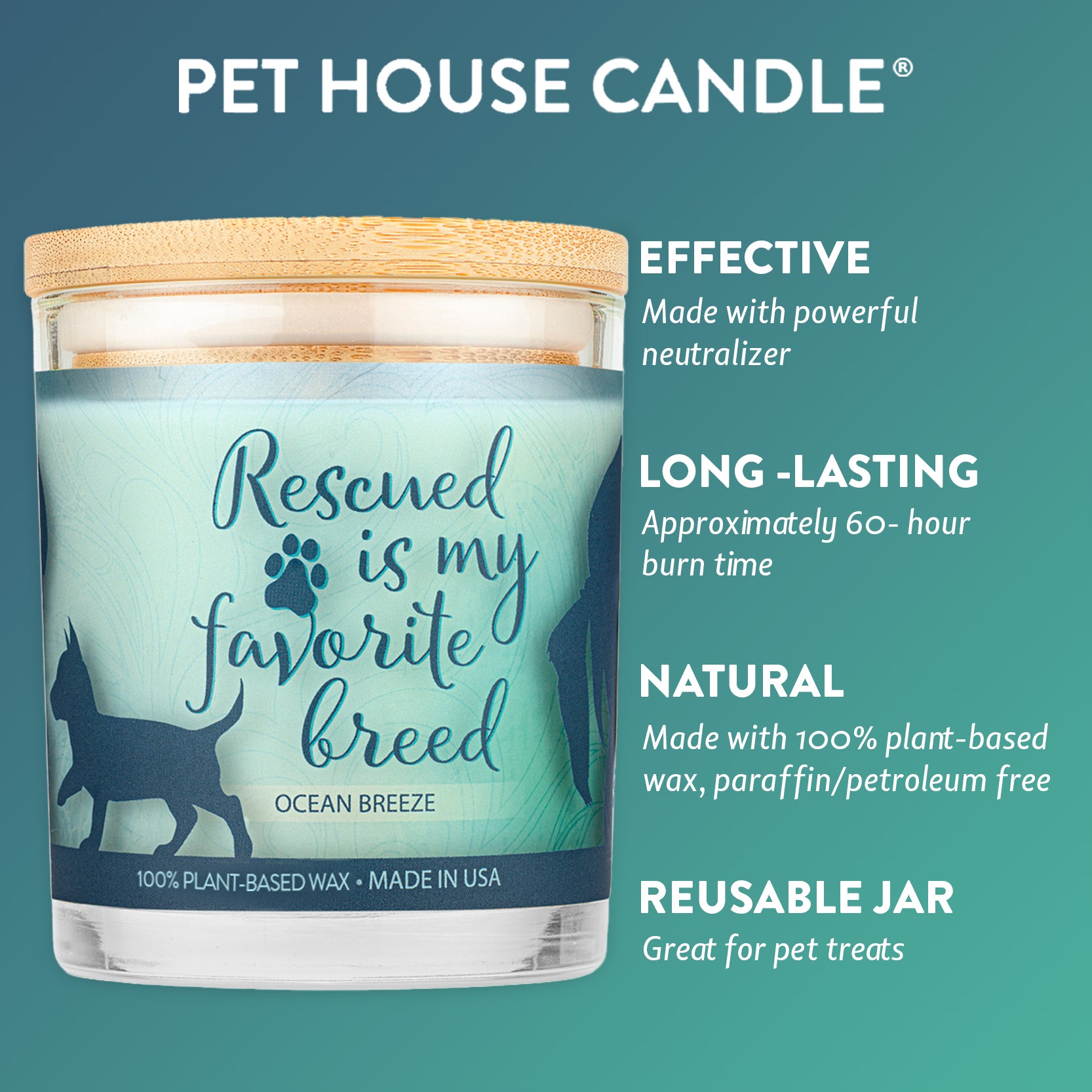 Ocean Breeze Pet House Sentiments Candle: 100% Natural Plant-based Wax