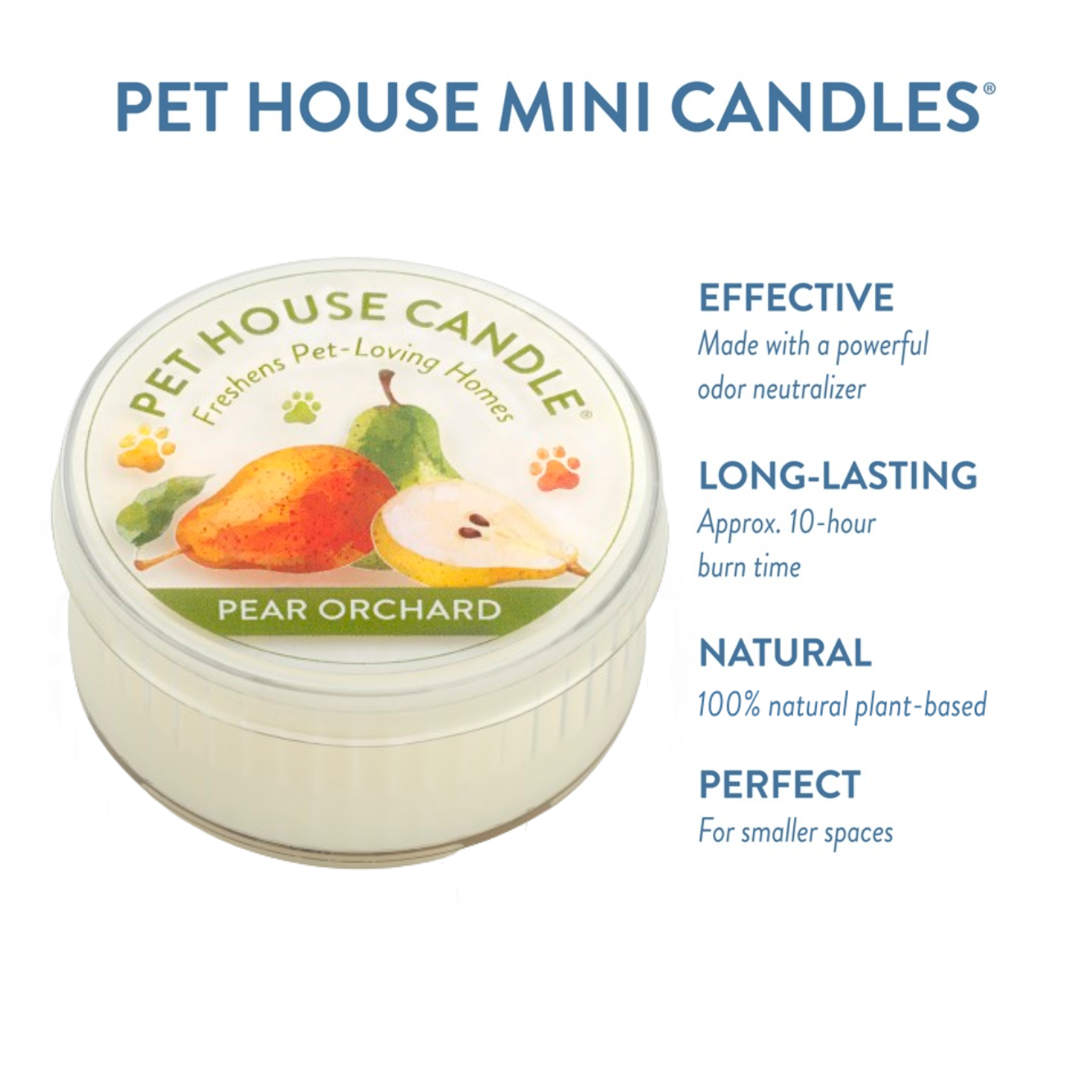 One Fur All Pear Orchard Candle - Thumbnail 4