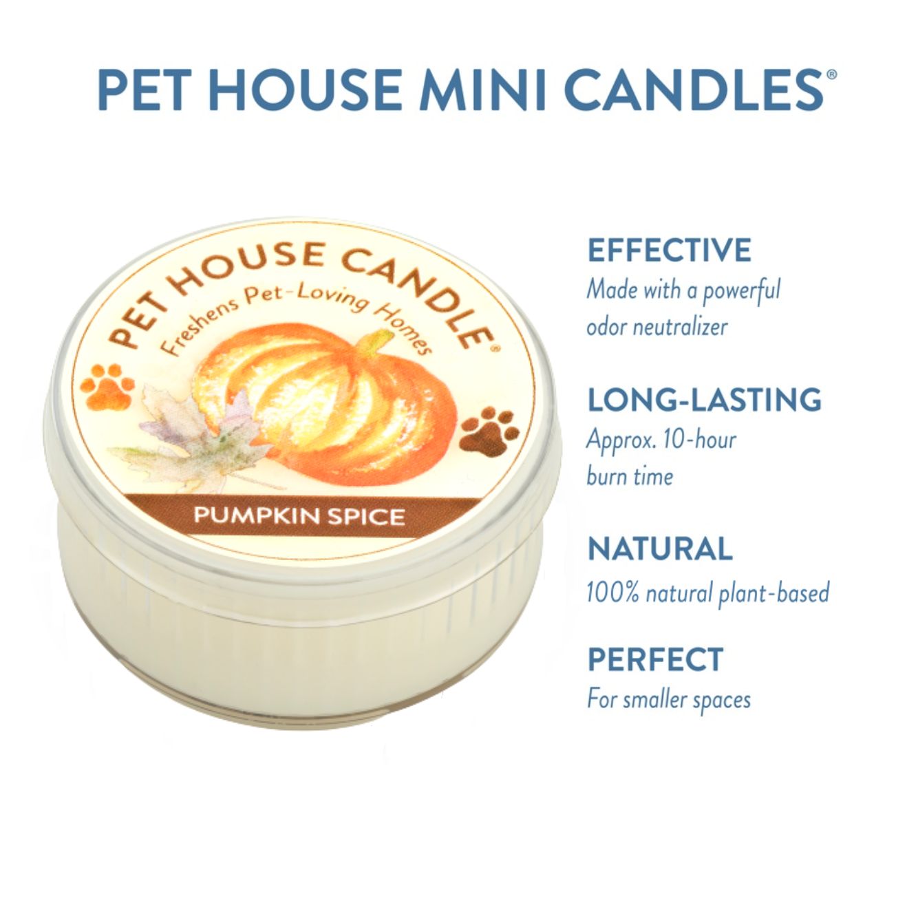 Pumpkin Spice Mini Candle infographics