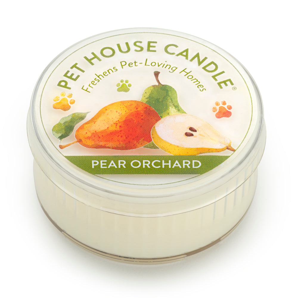 One Fur All Pear Orchard Candle - Thumbnail 5