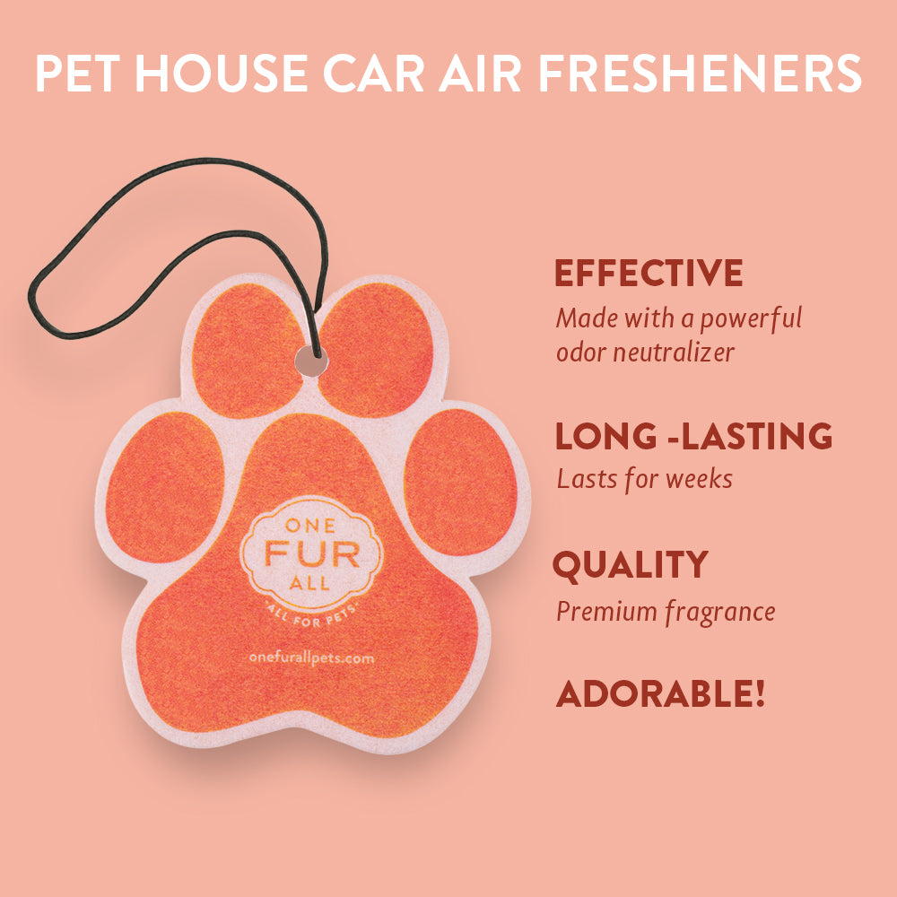 Pecan Pie Car Air Freshener infographics
