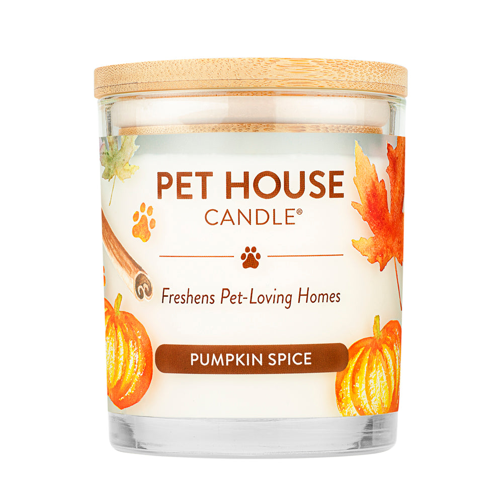 Pumpkin Spice Candle