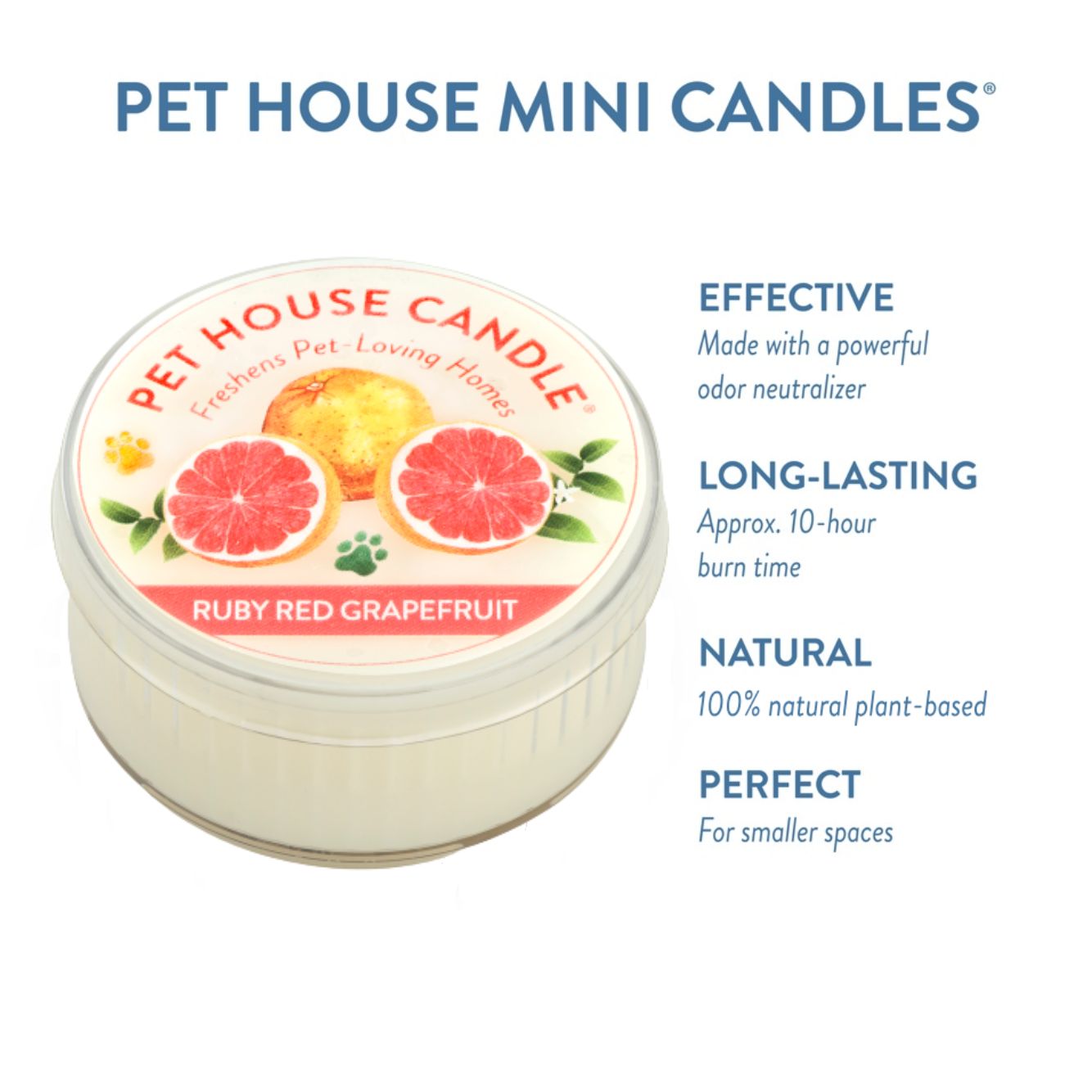 Ruby Red Grapefruit Mini Candle infographics