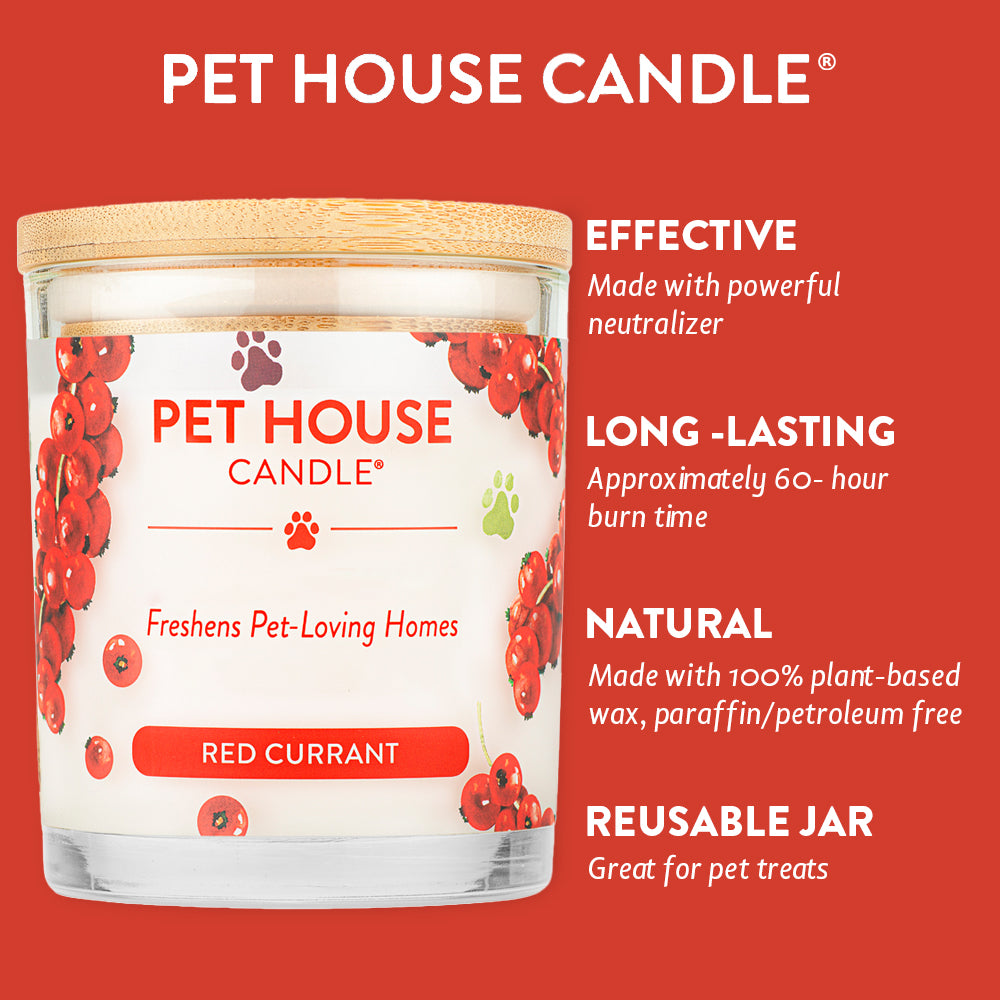 Red Currant Candle infographics
