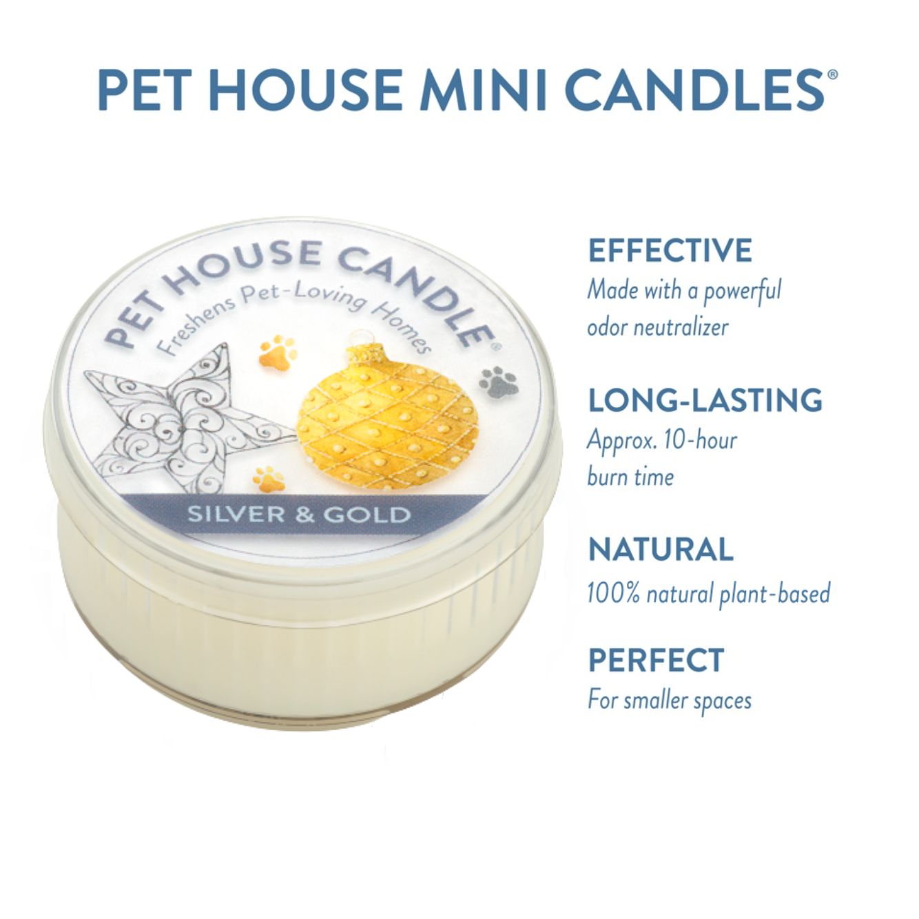 Silver & Gold Mini Candle Infographics