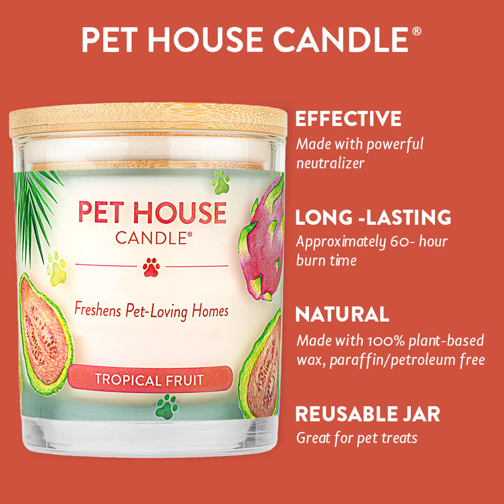 Tropical Fruit Candle infographics