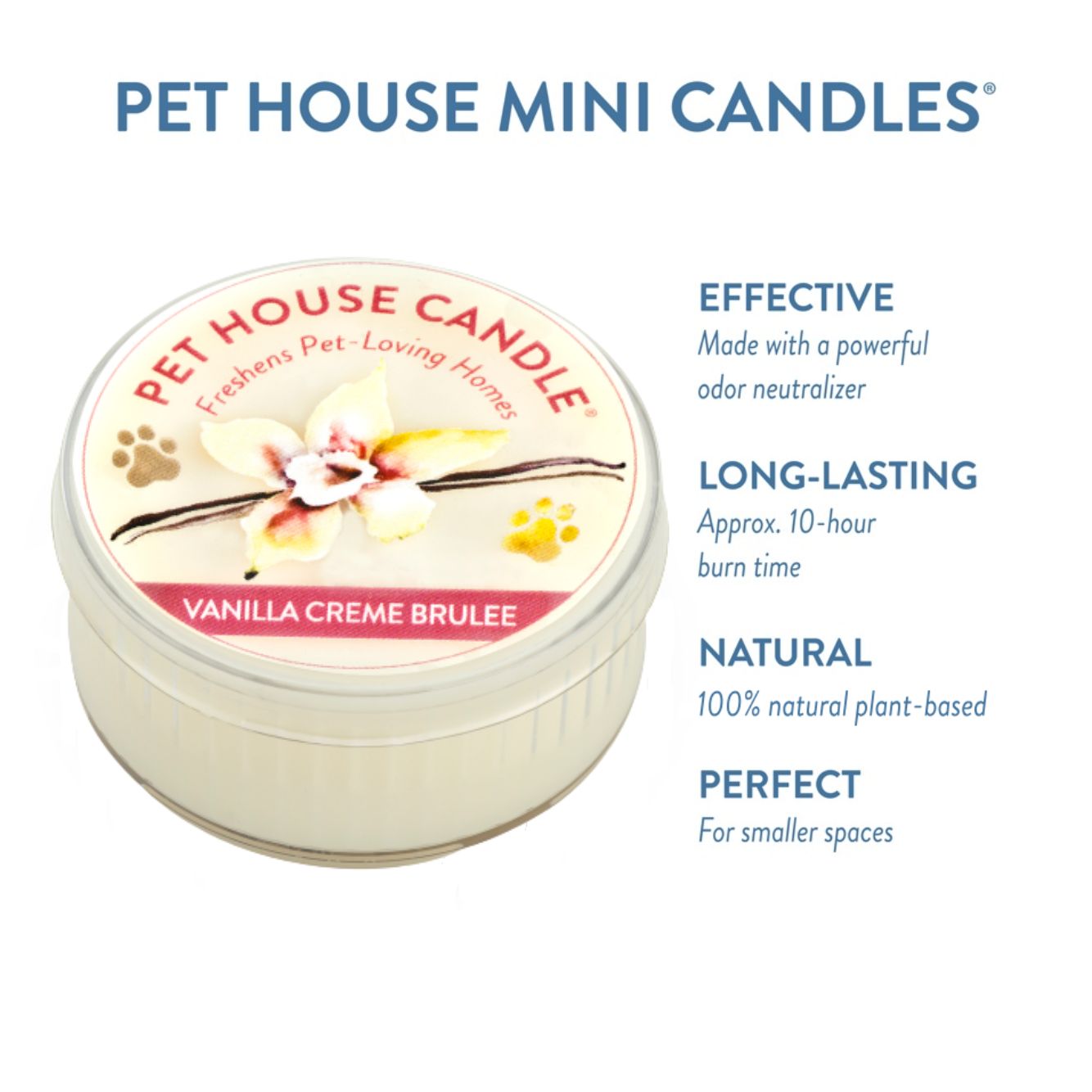 Vanilla Creme Brulee Mini Candle infographics