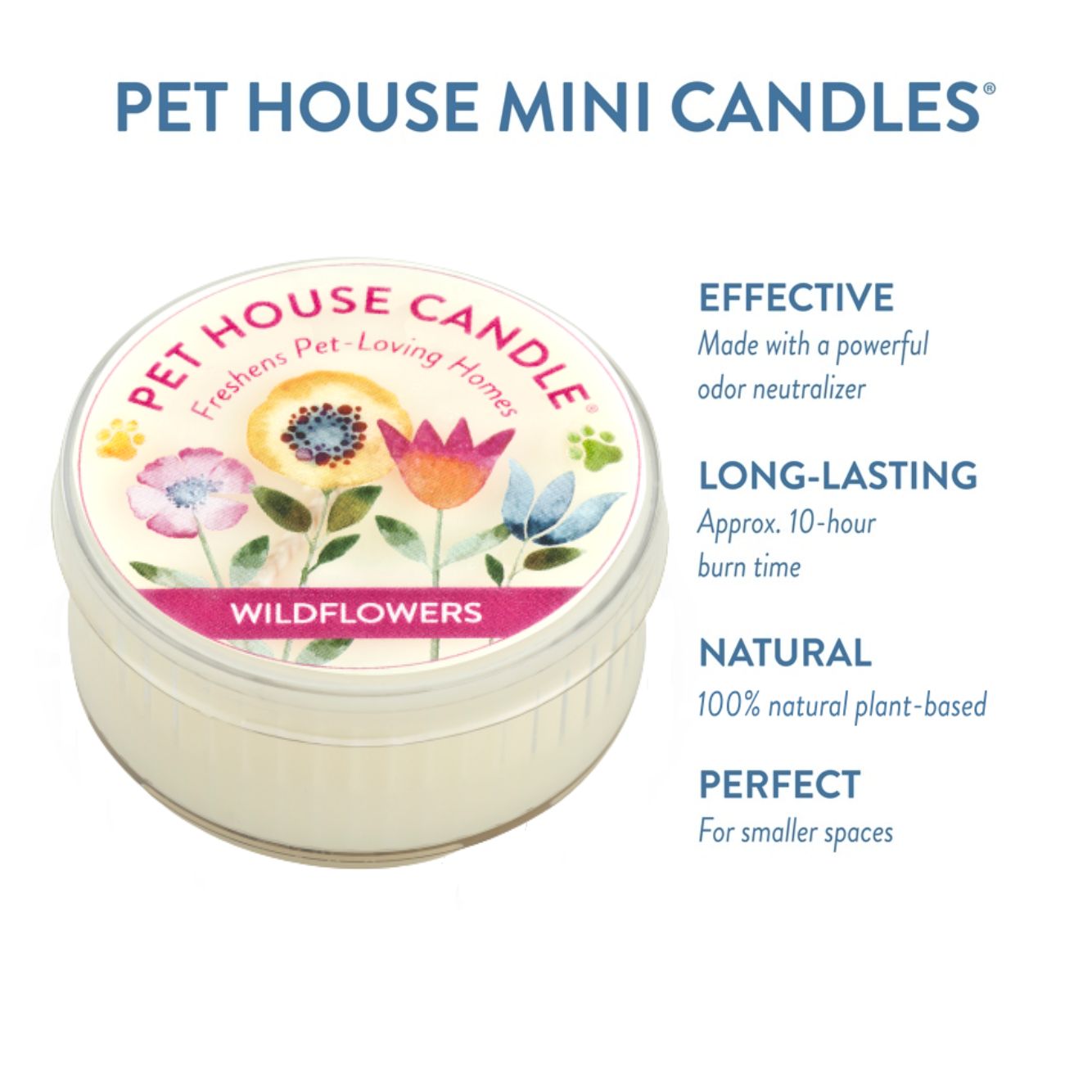 Wildflowers Mini Candle infographics