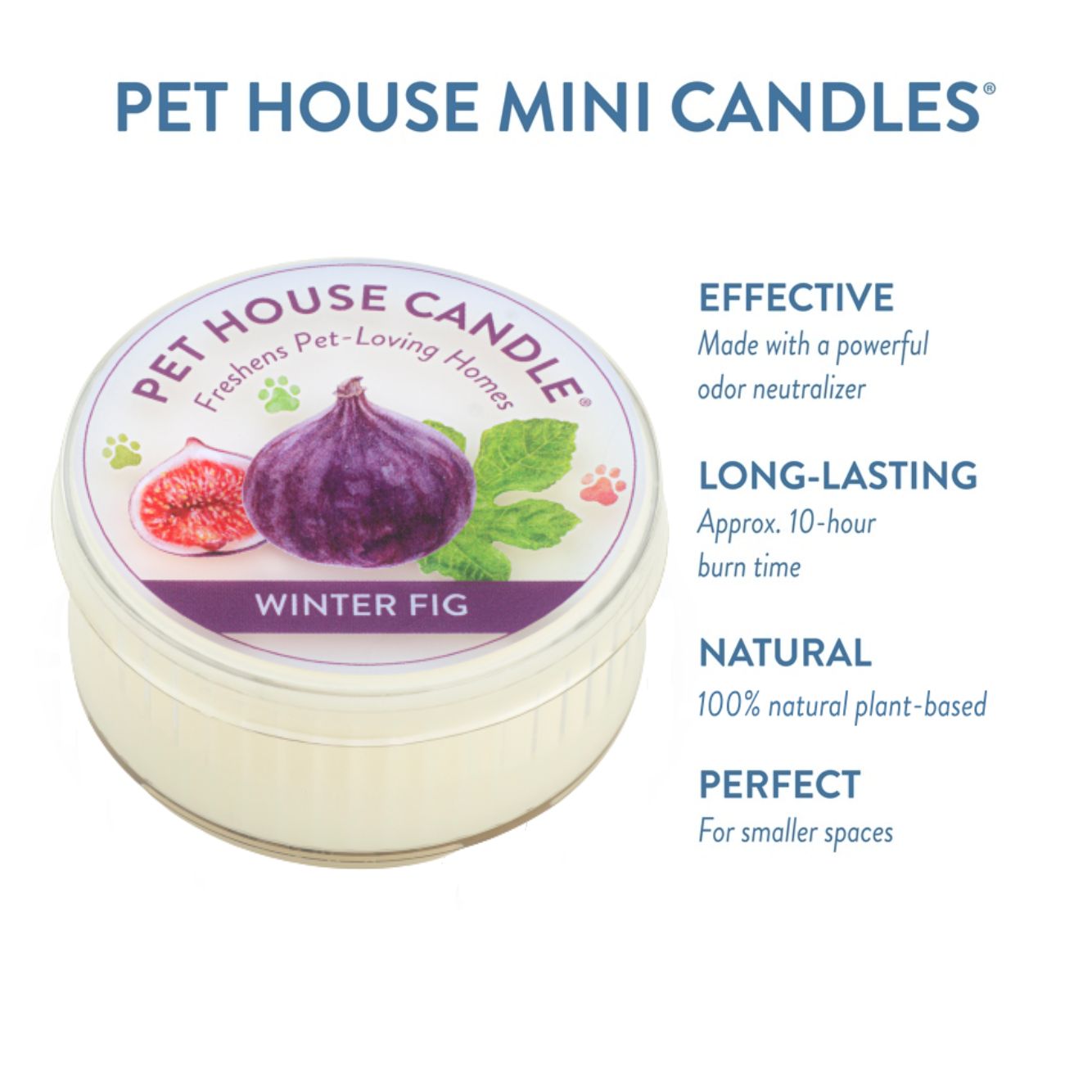 Winter Fig Mini Candle infographics