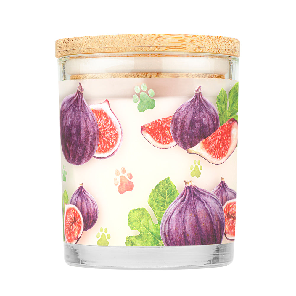 Winter Fig Candle back