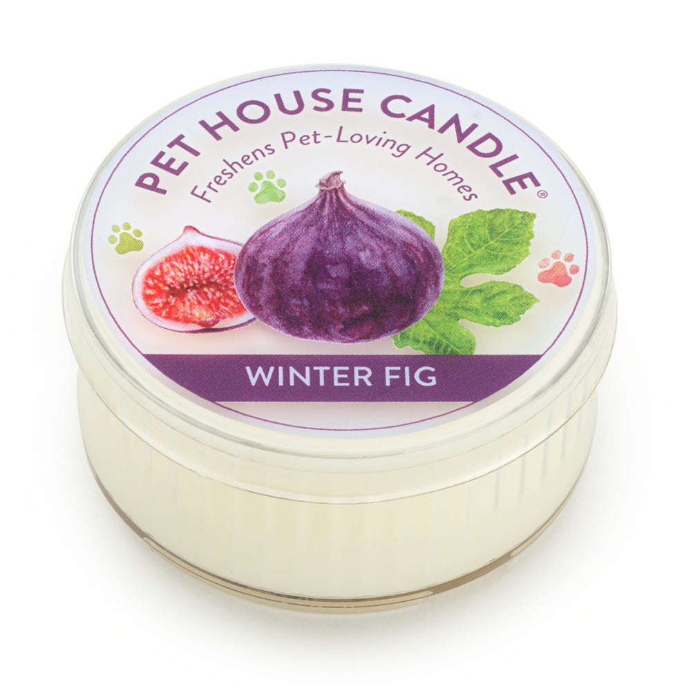 Winter Fig Mini Candle