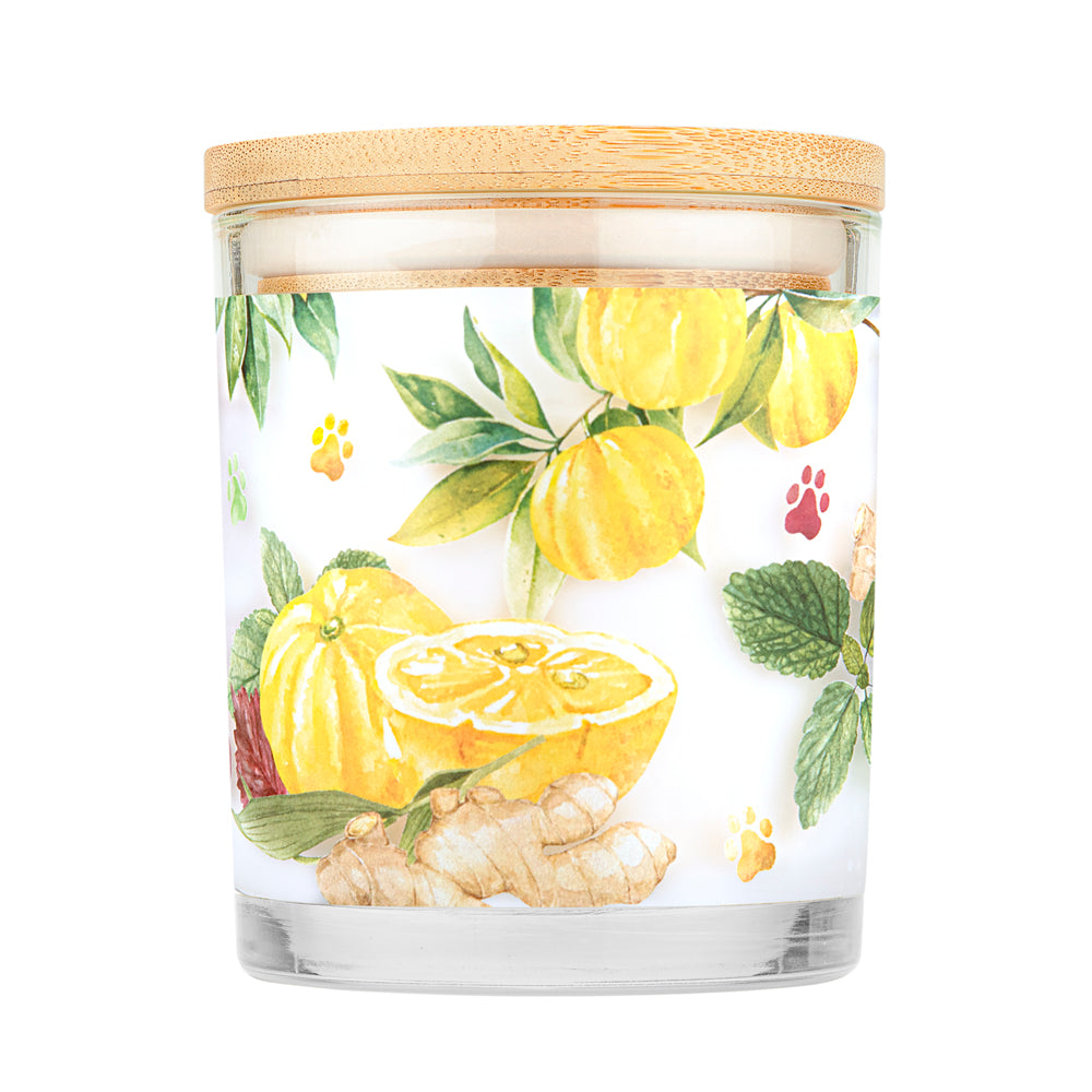 Yuzu Ginger Pet House Candle: Pet Odor Candle 100% Plant-Based Wax