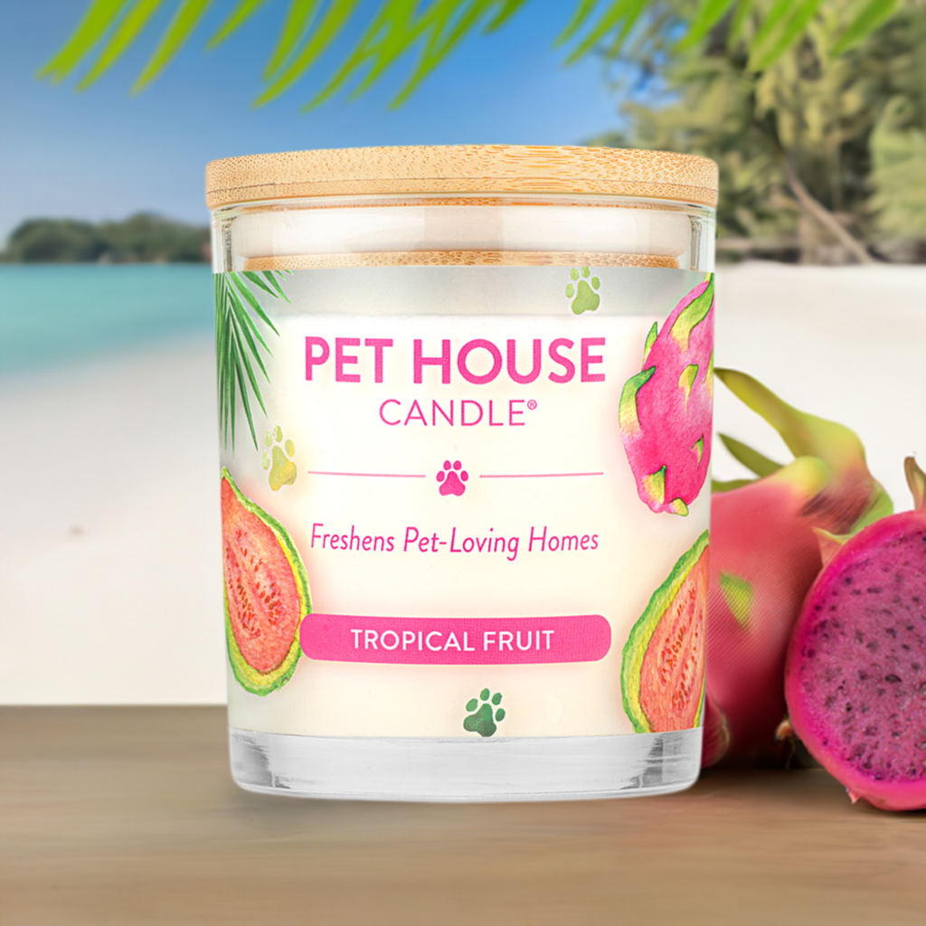 Tropical Fruit Pet House Candle with dragon fruit 
