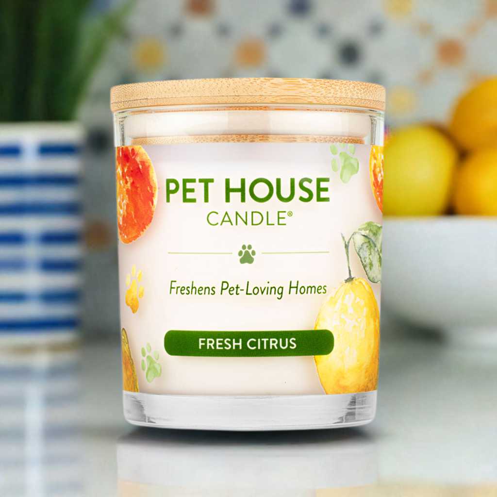 Fresh Citrus Pet House Candle on a kitchen counter