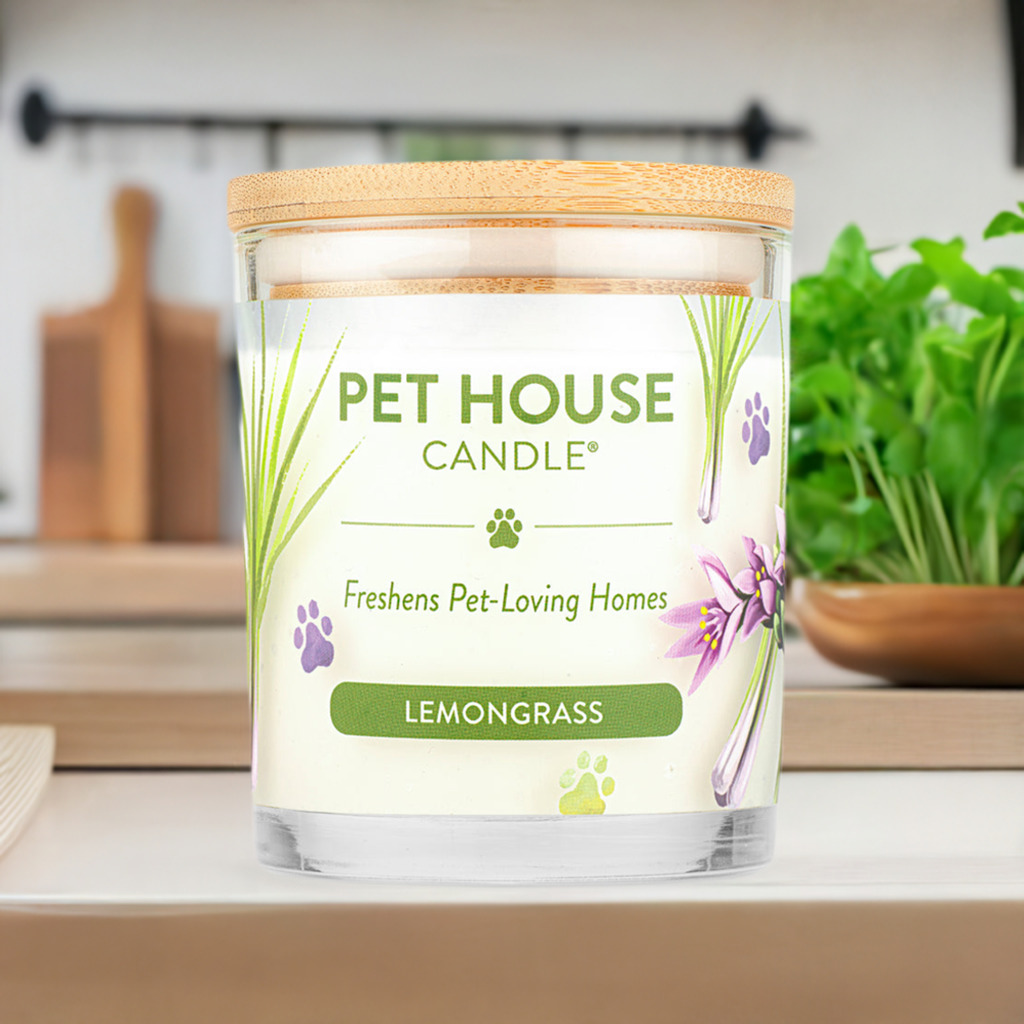 Lemongrass Pet House Candle on a kitchen counter