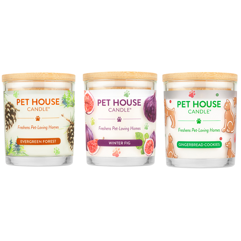 Evergreen Forest, Winter Fig and Gingerbread Cookies 9 oz candles