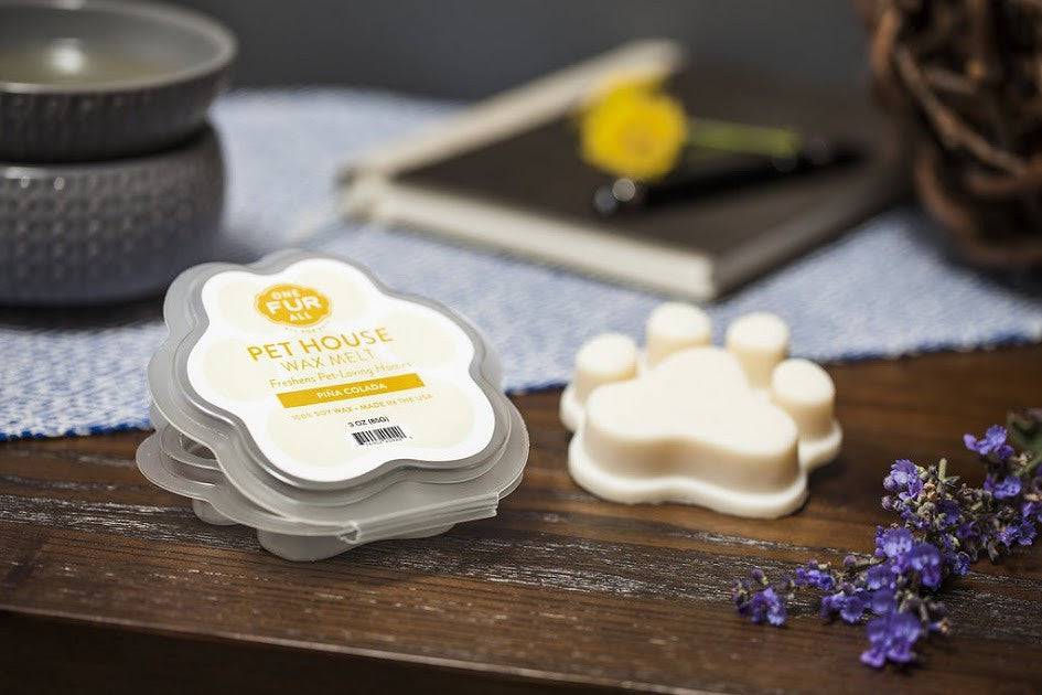 Pina Colada Wax Melt