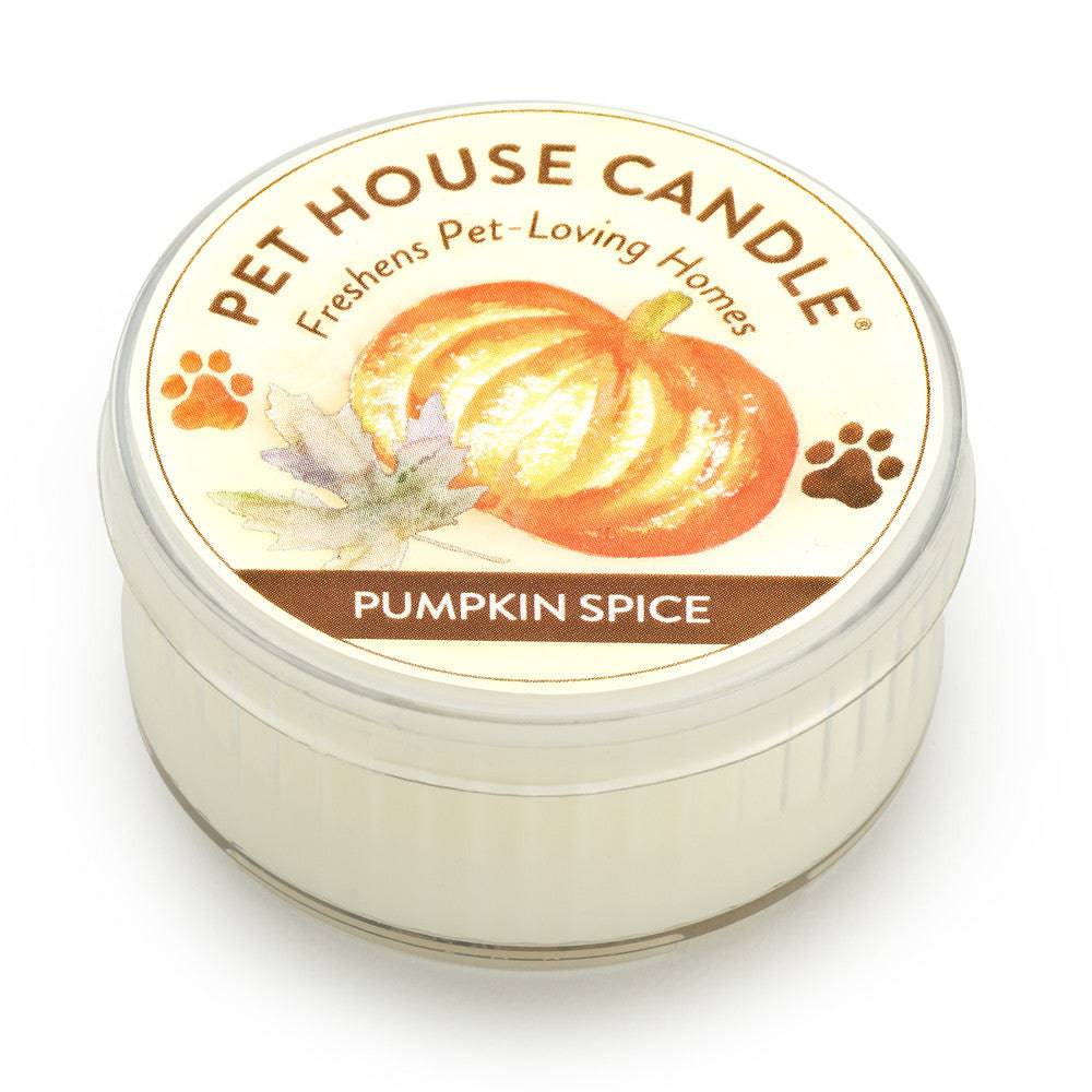 Pumpkin Spice Mini Candle