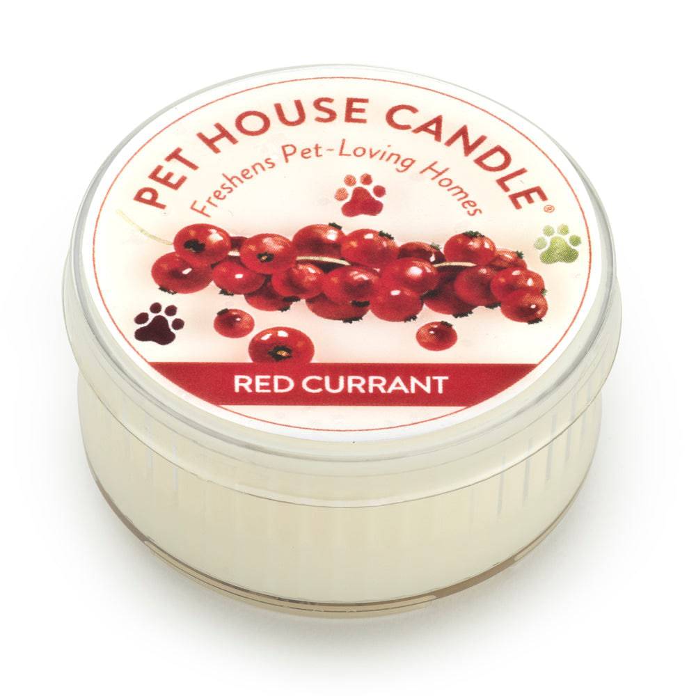 Red Currant Mini Candle