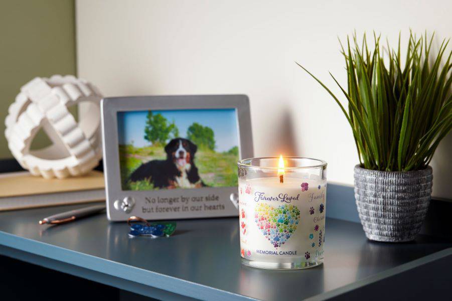 Furever Loved Memorial Candle on the table with plant and a picture frame of a dog