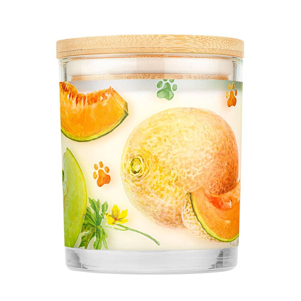 Juicy Melon Candle Back