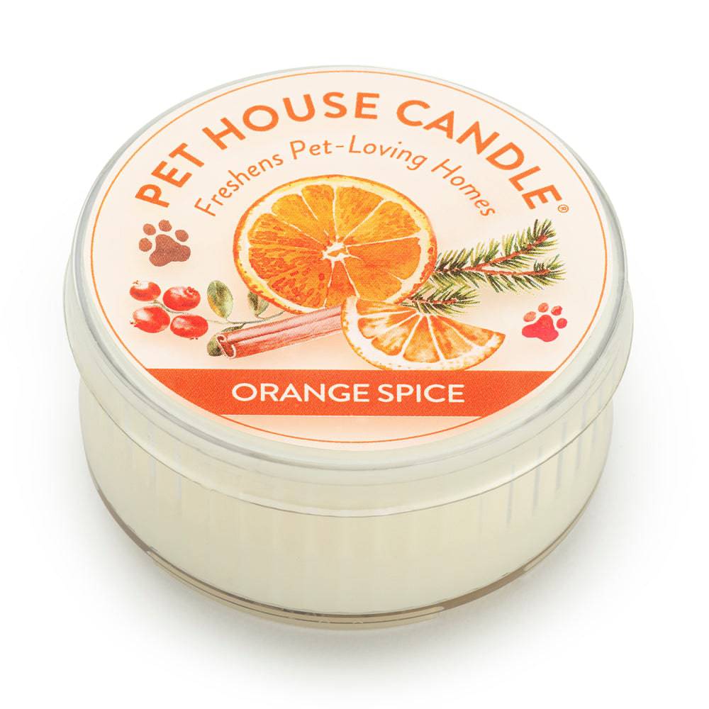 Orange Spice Mini Candle