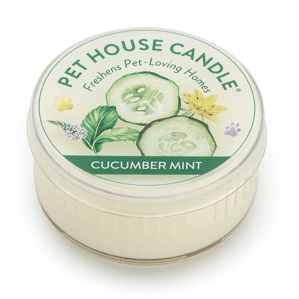 Cucumber Mint Mini Candle