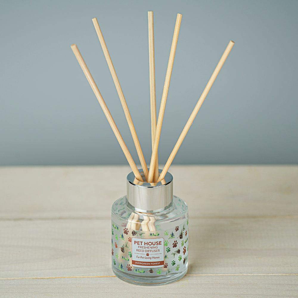 Evergreen Forest Pet House Reed Diffuser lifestyle shot