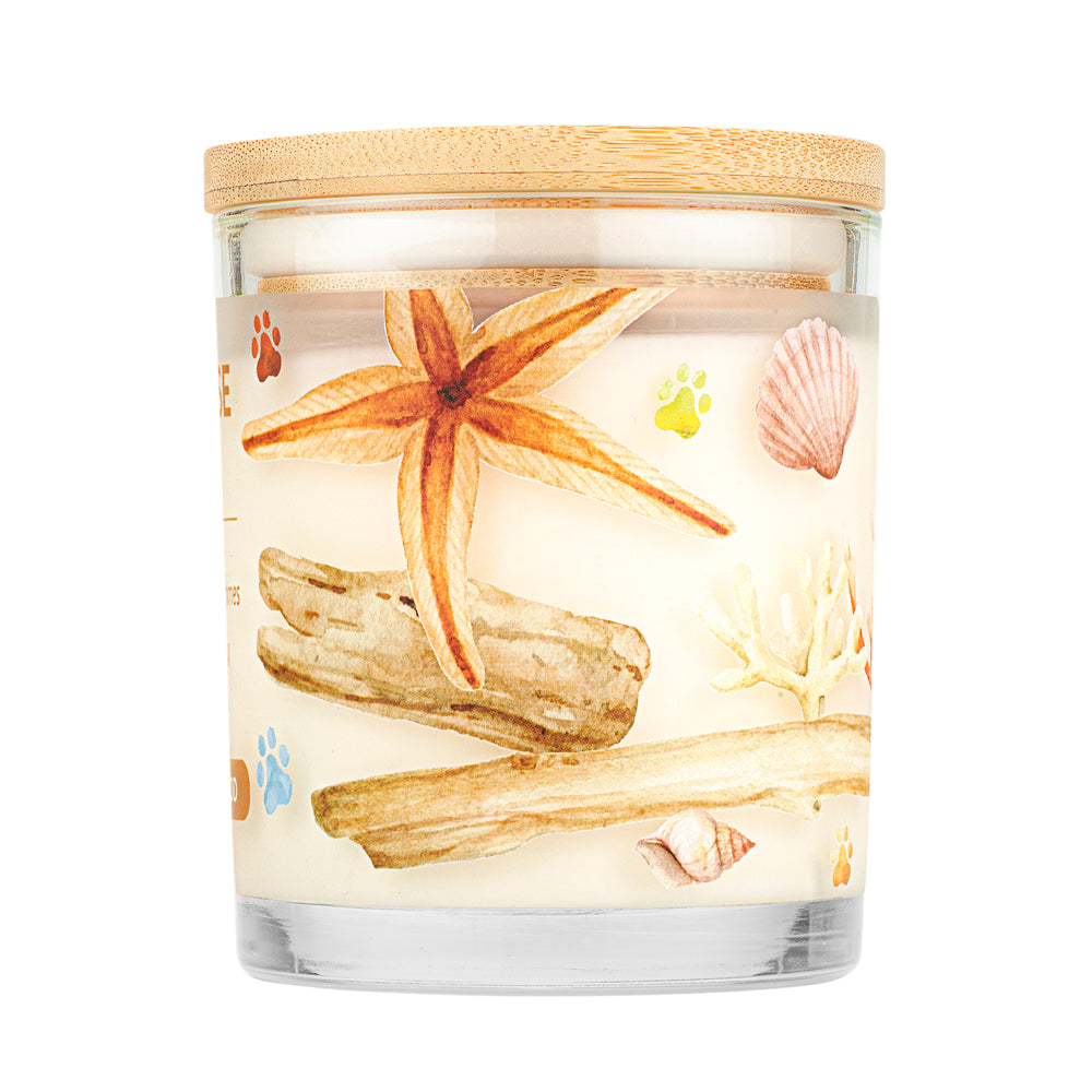 Ocean Driftwood Candle Back
