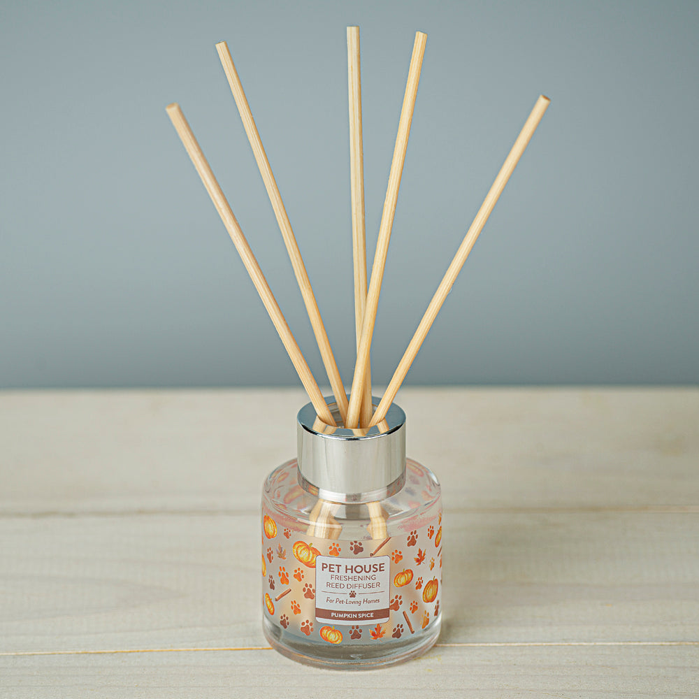 Pumpkin Spice Pet House Reed Diffuser lifestyle