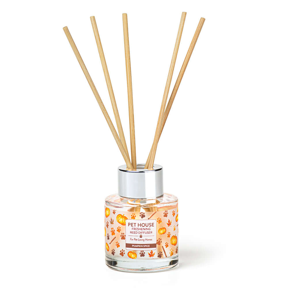 Pumpkin Reed Diffuser Pumpkin Spice Pet House Reed Diffuser: Pet Odor Eliminator.