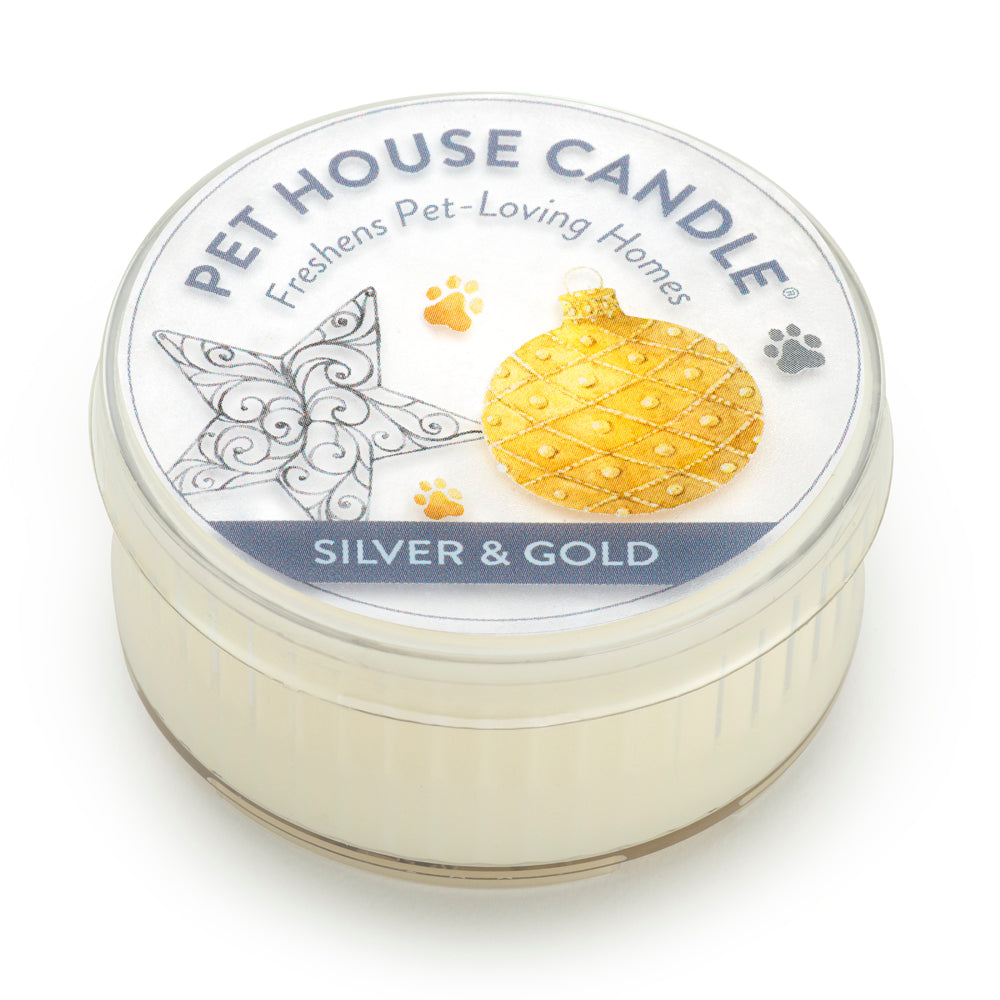 Silver & Gold Mini Candle